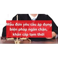 mau-don-yeu-cau-ap-dung-bien-phap-khan-cap-tam-thoi-478923