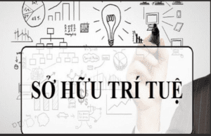 Quyền sở hữu trí tuệ là gì? Căn cứ phát sinh, xác lập quyền sở hữu trí tuệ