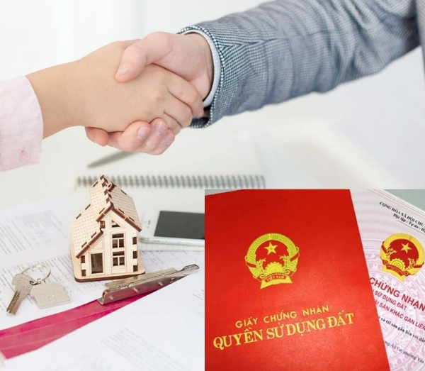 Có nên mua đất chưa có sổ đỏ, mới chỉ có trích lục bản đồ?