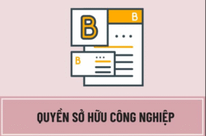 Xác lập quyền sở hữu công nghiệp đối với sáng chế, kiểu dáng công nghiệp, thiết kế bố trí, chỉ dẫn địa lý