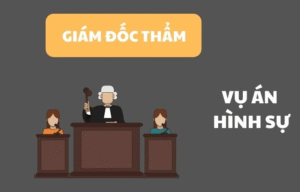 Các trường hợp giám đốc thẩm theo quy định