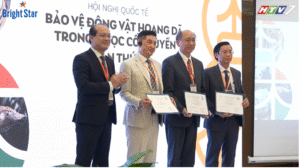 Sự thật về công dụng “thần dược” sừng tê giác