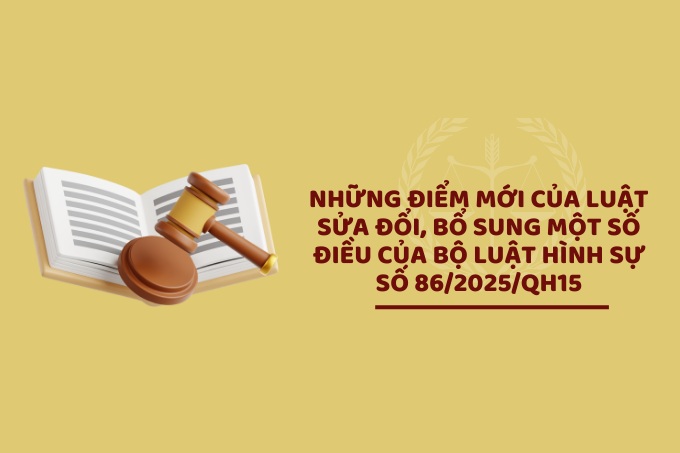 Luật sửa đổi, bổ sung một số điều của Bộ Luật hình sự