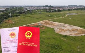thủ tục