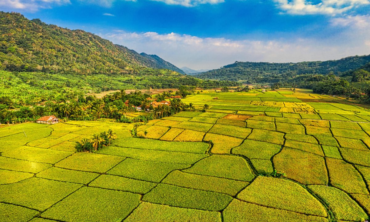 Đất nông nghiệp sử dụng ổn định trước 15/10/1993 vẫn được xem xét công nhận đất ở khi chưa có giấy tờ