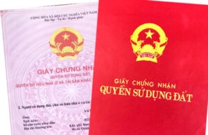 Năm 2026, mua chung cư được cấp Sổ hồng hay Sổ đỏ?
