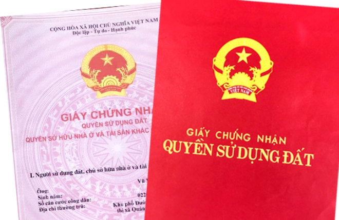 Năm 2026, mua chung cư được cấp Sổ hồng hay Sổ đỏ?