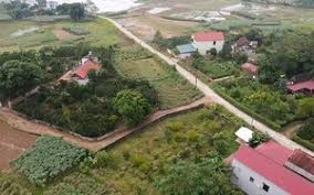 Nghị quyết 254